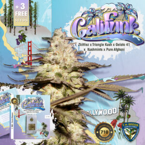 Cali Funk 710 Special pack