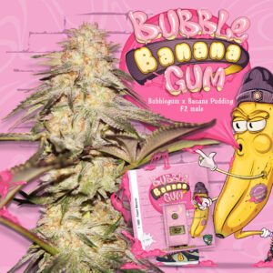 BubbleBananaGum 6+1 pack