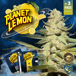 Planet Lemon 710 Special pack