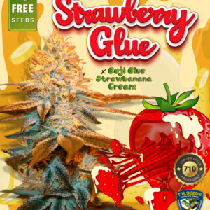 Strawberry Glue 710 Special pack