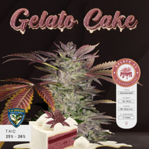 Gelato Cake 6+1 pack