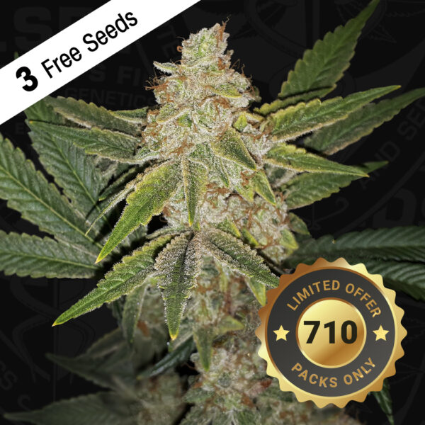 Hazanana 710 Special pack - Image 2