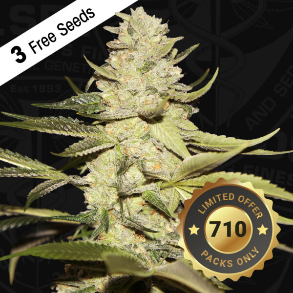 Planet Lemon 710 Special pack - Image 2