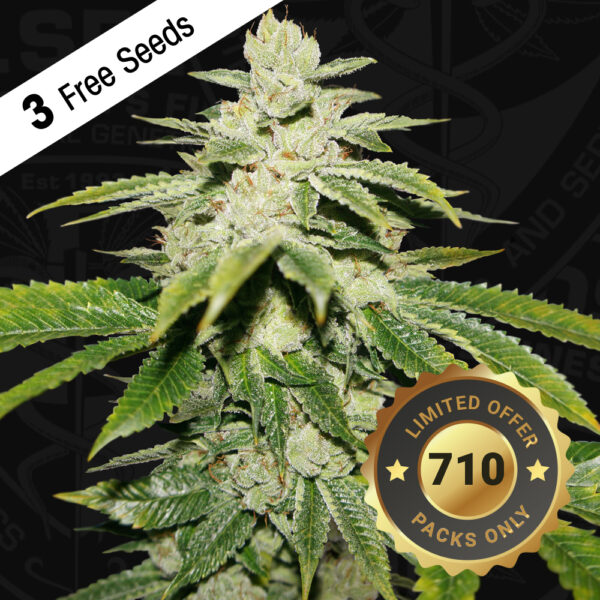 WaterMelon Ultra 710 Special pack - Image 2