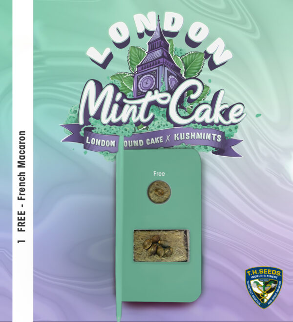 London Mint Cake 6+1 pack - Image 4