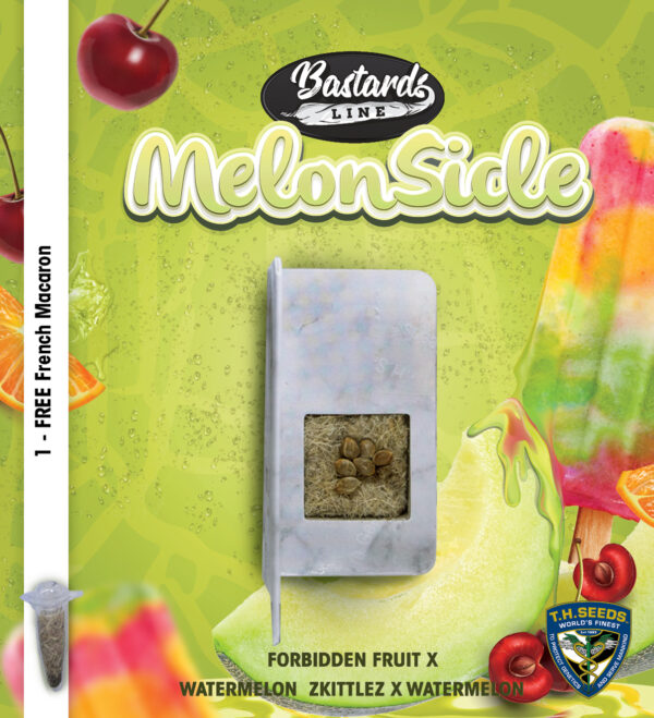 Melonsicle 6+1 pack - Image 4