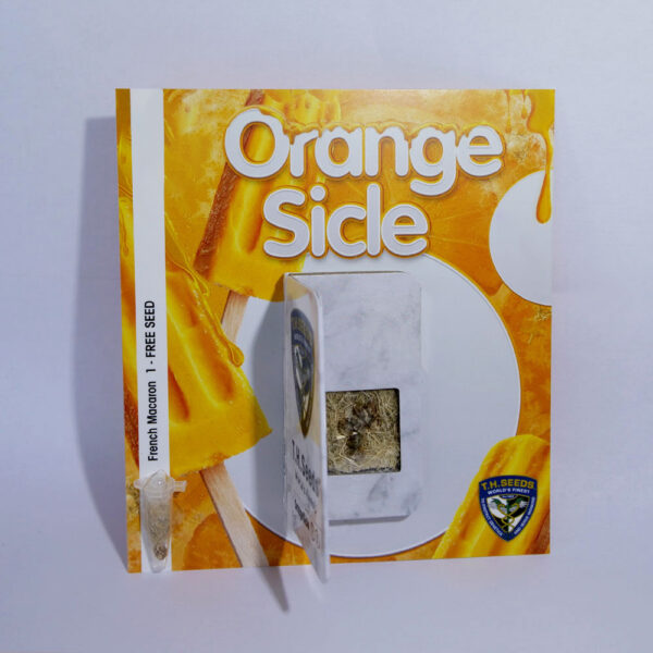 Orangesicle 6+1 pack - Image 3