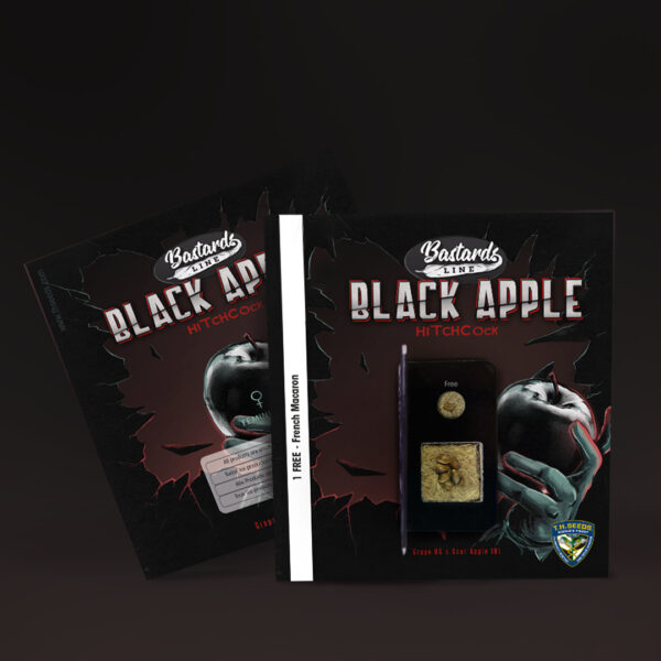 Black Apple Hitchcock 6+1 pack - Image 3