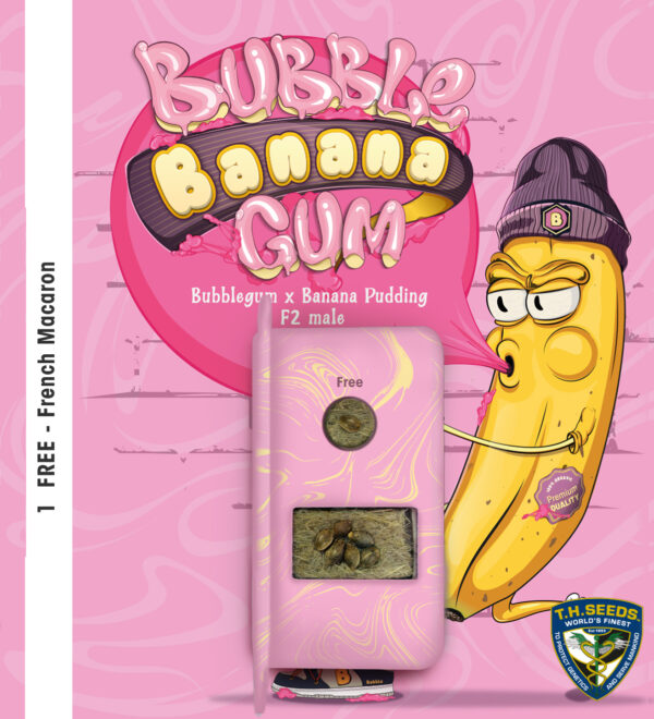 BubbleBananaGum 6+1 pack - Image 4