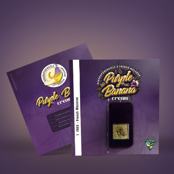 Purple Banana Cream 6+1 pack - Image 4