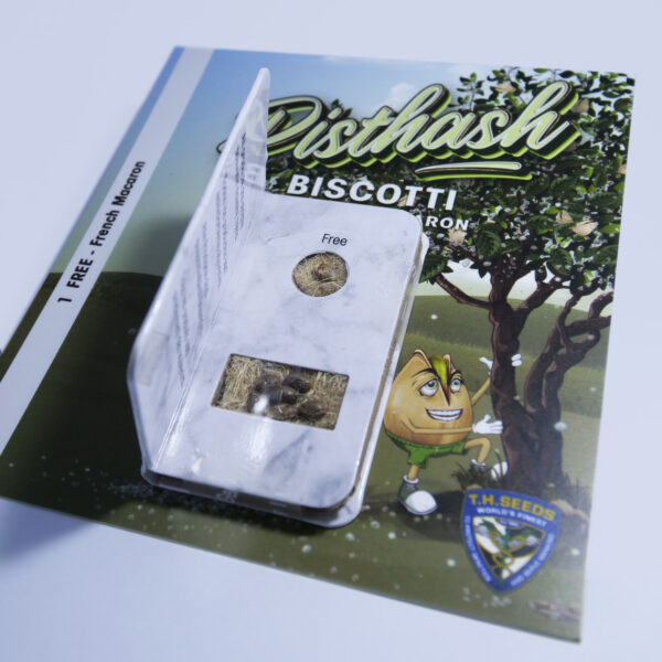Pisthash 6+1 pack - Image 3
