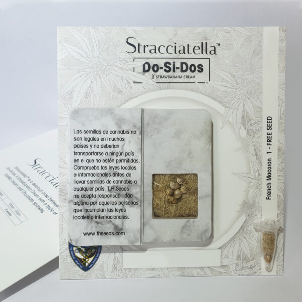 Stracciatella 6+1 pack - Image 5